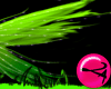 MORF PF Wings