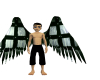 square arch wings