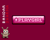 (BS) PLAYGIRL Sticker