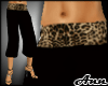ANN Gaucho Black Leopard
