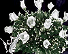 White Roses