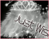 *b* Just Wish ~