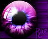 R: Magenta Stargazers[F]