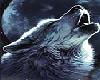 Wolf Spirit Moon