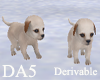 (A) Newborns Tumble