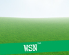 [wsn]Greengrass