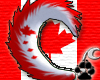 [N]Canadian Husky Tail