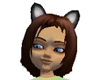 Cat Ears in Grey