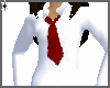 School Shirt W~ Tie