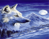 wolf2