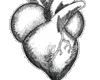 My BEaTiNg HeArT