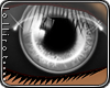 *L� iOrb Silver