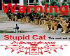 Stupid Cat