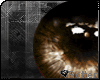 `r F iHypnosis | Brown