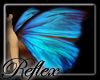 Blue butterfly wings