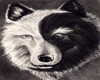 Yin/Yang Wolf