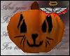 cat pumpkin