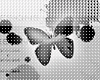 Invisible Butterfly