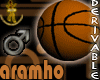 basketball with 13 poses