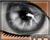 [n77] Eyes Gray
