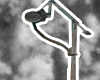 [S.S]music mic