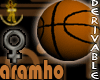 basketball with 13 poses