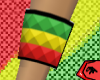 Rasta Studded Band