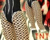 Midnight - Catsuit Bundl