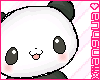 Cute panda
