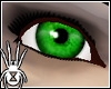 Spring Eyes