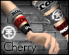 ~C~ Tokio hotel bands