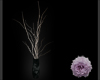 !Stick Plant