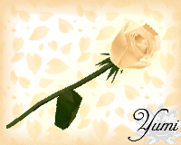 Redfox Rose - Champagne
