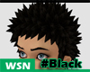 [wsn]UDO#Black