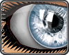 *L� iGlass Ice