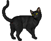 sticker_724573_736500