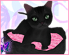 (&ETH;) Kitty Black Animated
