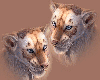 Big Cats