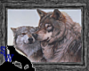 Wolf couple