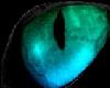 Male cat eyes