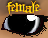PHz ~ Black Dolls Eyes F