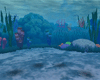 Coral Reef