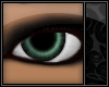 Product Image for *Ss* Eyes DeepForest