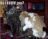 Do I know you?