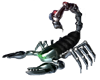 scorpion