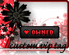 [-] owned and loved [-]