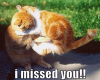 i missed you