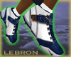 (e) Air Zoom LEBRONs