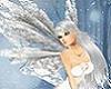 Winter Fairy