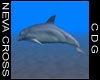 NC Sea World